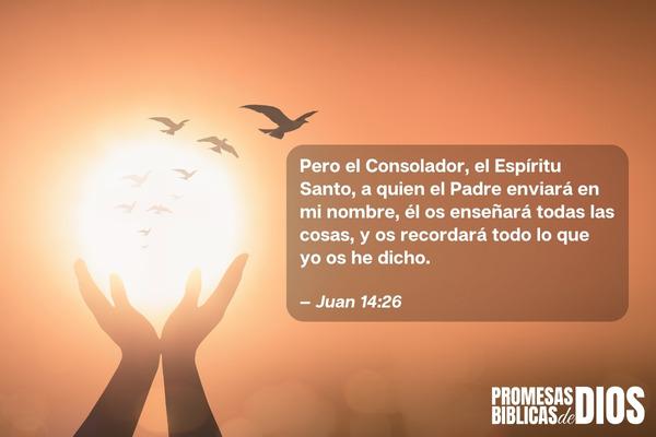 Tormenta Reflexiones⁢ Prácticas: ⁣Cómo Aplicar las Promesas Divinas en la Vida Diaria